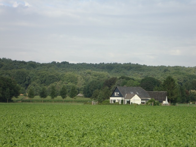 Vakantiehuis 12 personen